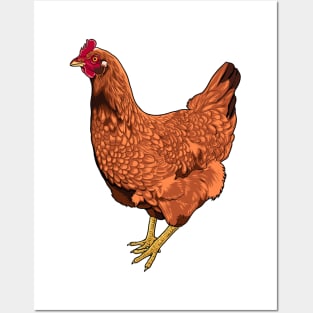 Rhode Island Red Chicken Posters and Art